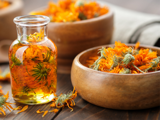 The Power of Natural Ingredients in Pet Skincare
